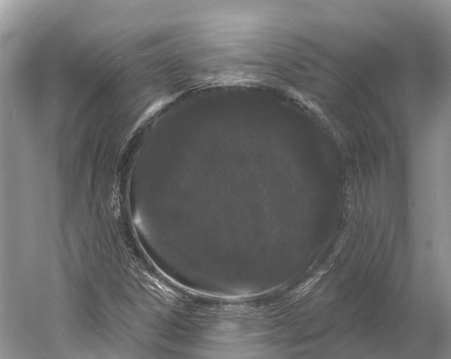 X0000060811306200512011749
