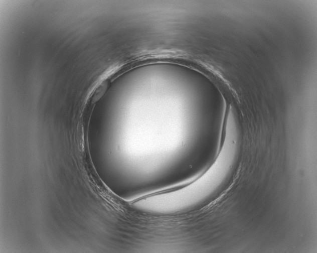 X0000060811317200512011749