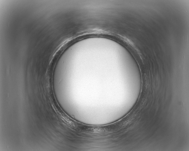 X0000060811318200512011749