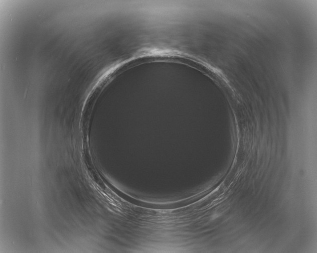 X0000060811319200512011749
