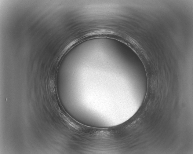 X0000060811321200512011749