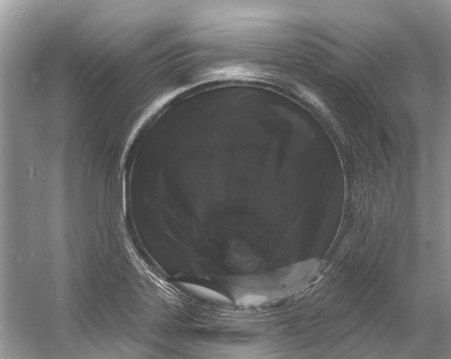 X0000060811323200512011749