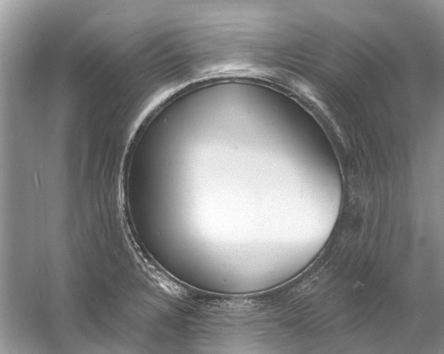 X0000060811328200512011749