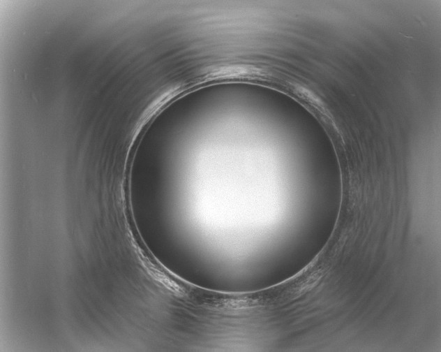 X0000060811330200512011749