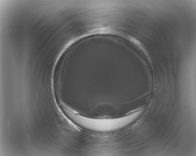 X0000060811334200512011749