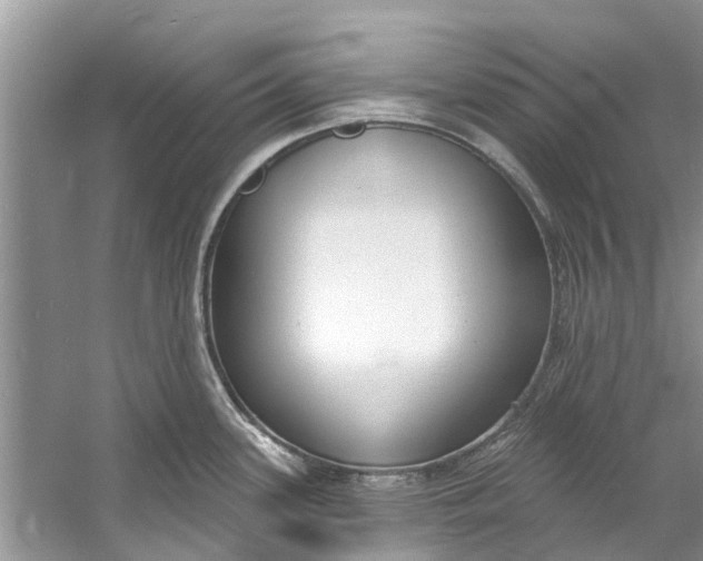 X0000060811339200512011750