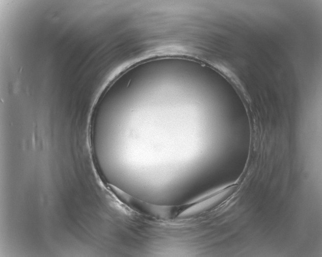 X0000060811342200512011750