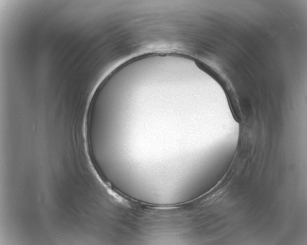 X0000060811343200512011750