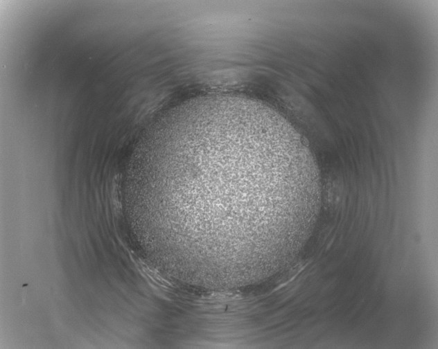 X0000060811346200512011749