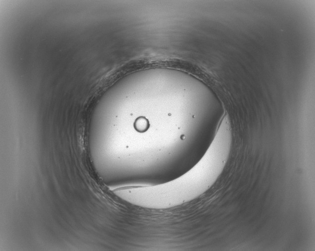 X0000060811348200512011749