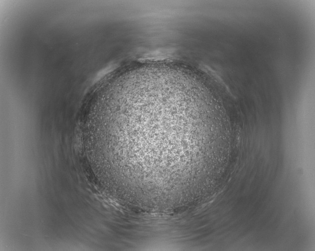 X0000060811350200512011749