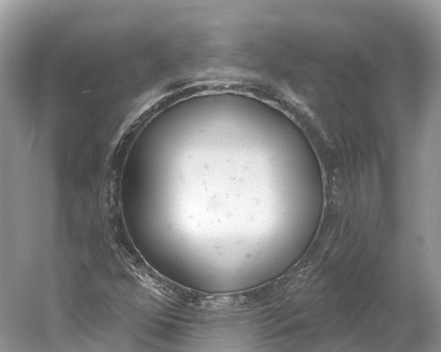 X0000060811352200512011749