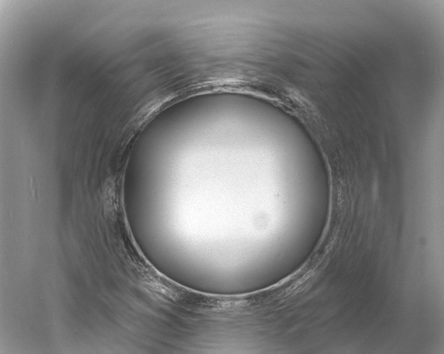 X0000060811353200512011749