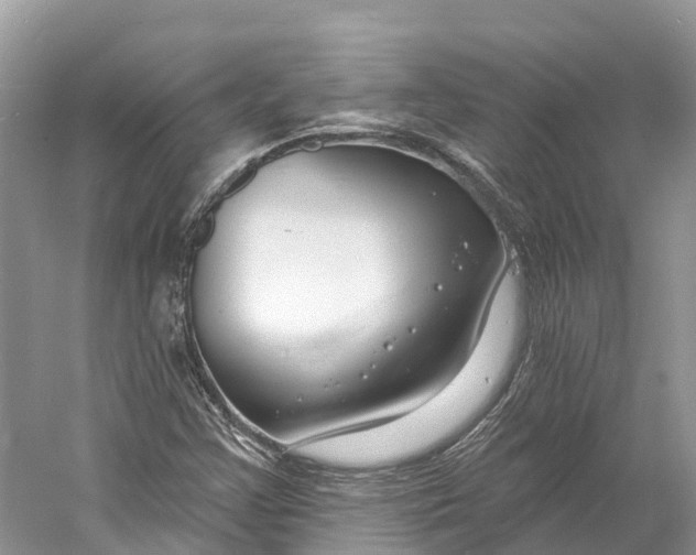 X0000060811355200512011749