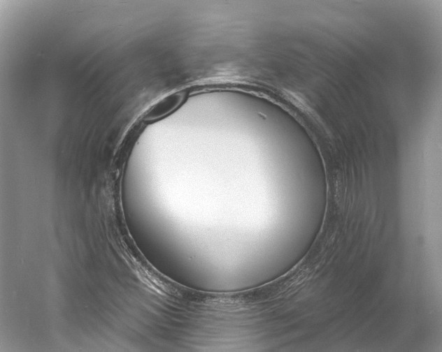 X0000060811356200512011749