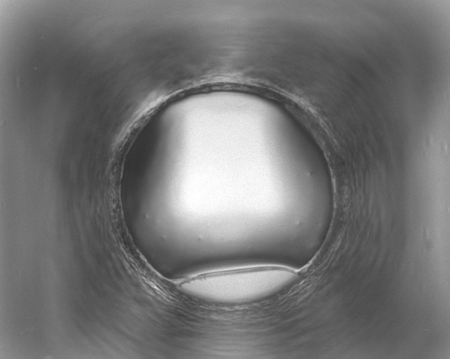 X0000060811359200512011749