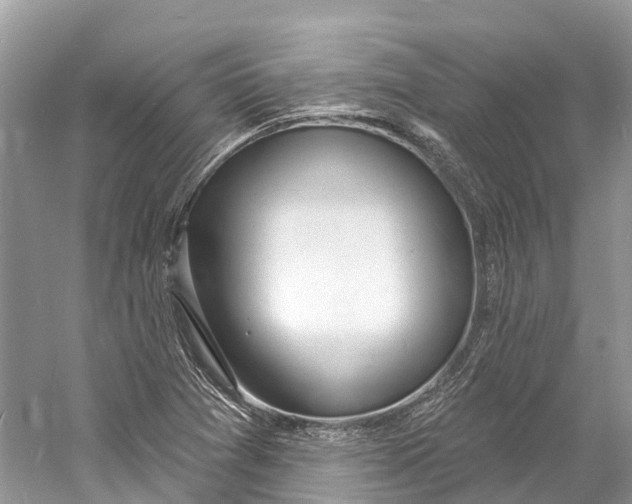 X0000060811361200512011749