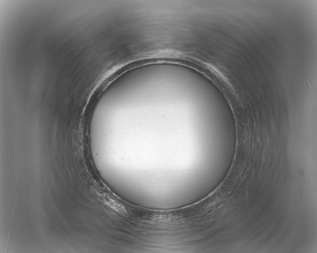 X0000060811364200512011748