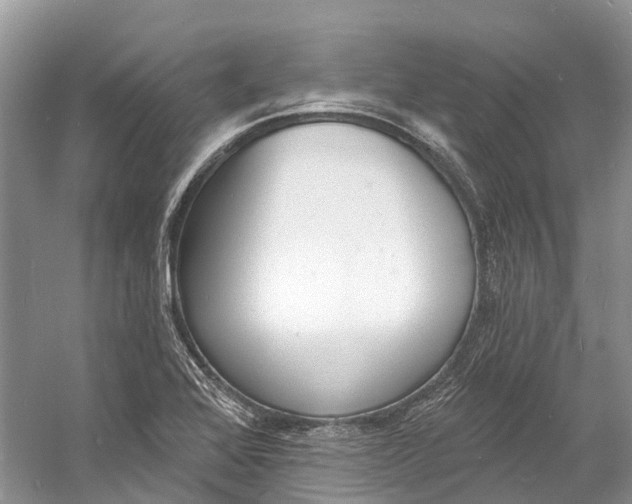 X0000060811368200512011748