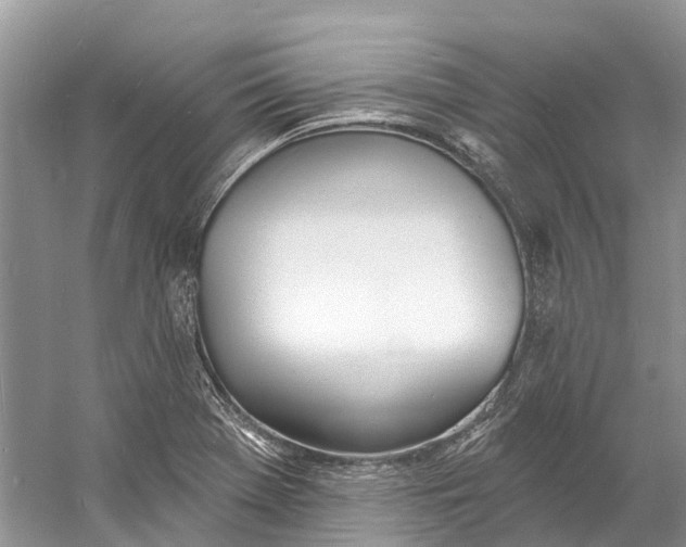 X0000060811369200512011748
