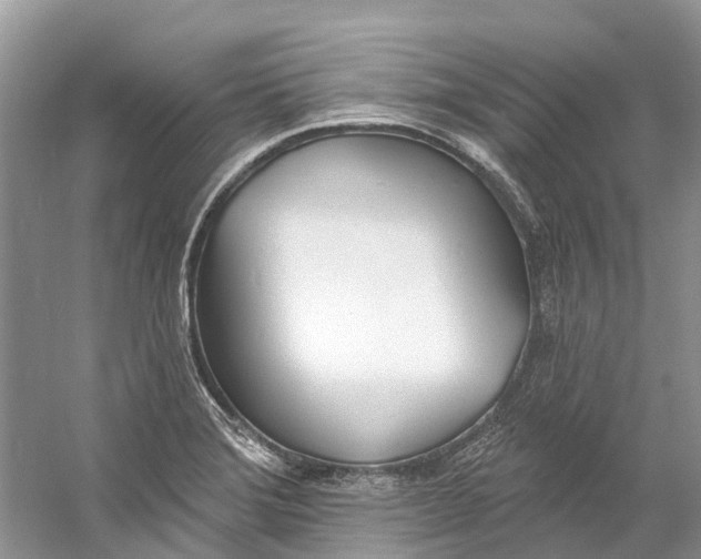 X0000060811372200512011748
