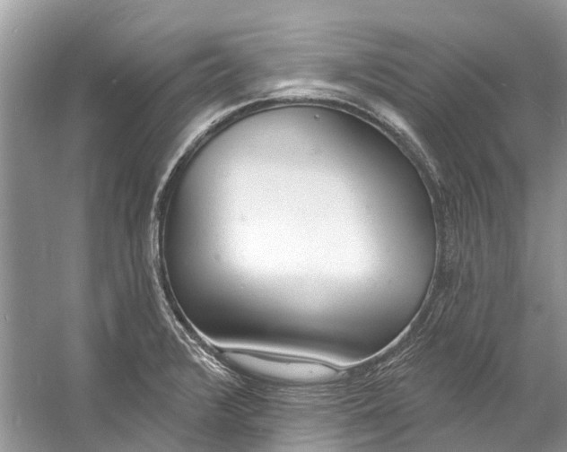 X0000060811376200512011748