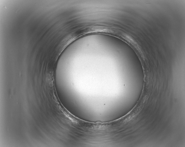 X0000060811377200512011748