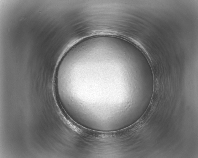 X0000060811379200512011748