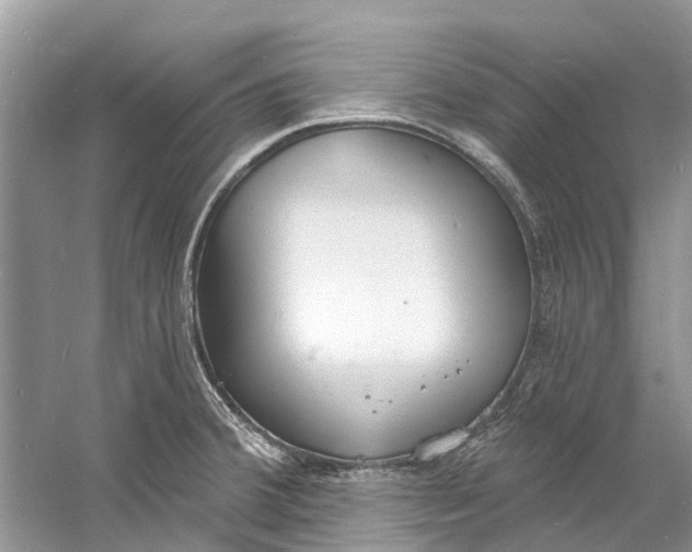 X0000060811380200512011748