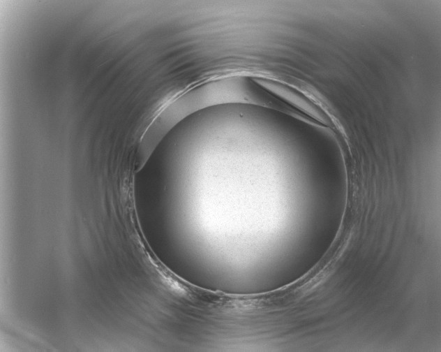 X0000060811385200512011748