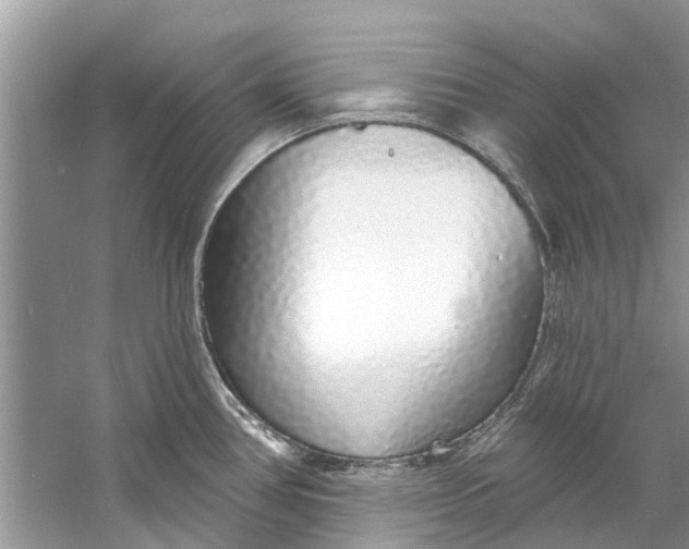 X0000060811386200512011748