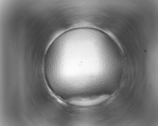 X0000060811390200512011748