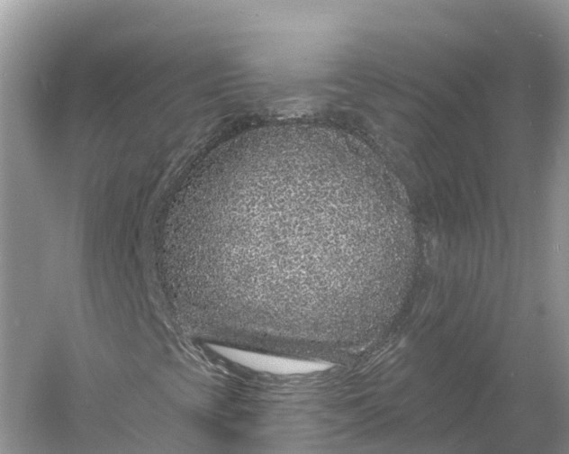 X0000060811393200512011747