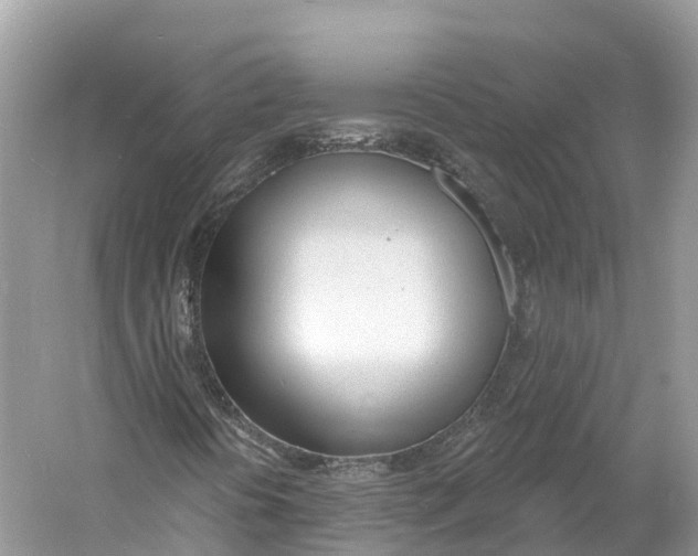 X0000060811394200512011747