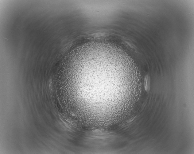X0000060811395200512011747