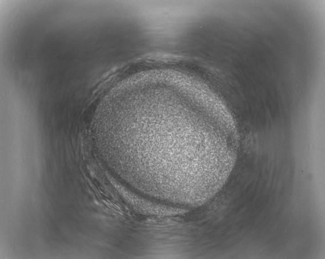 X0000060811397200512011747