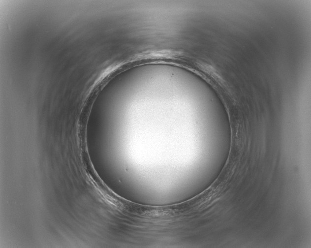X0000060811404200512011747