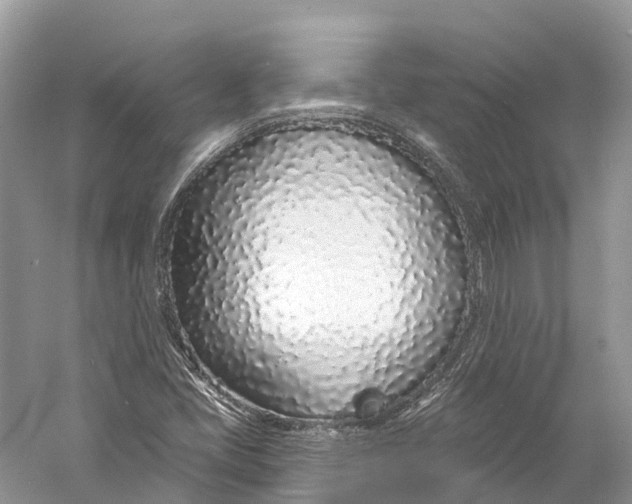 X0000060811405200512011747