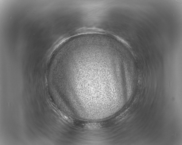 X0000060811407200512011747