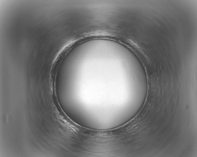 X0000060811408200512011747