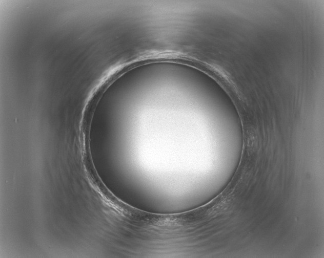 X0000060811414200512011747