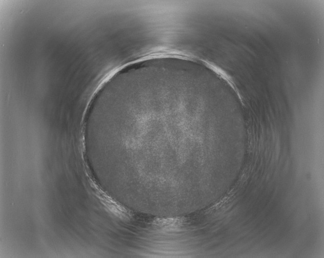 X0000060811415200512011748