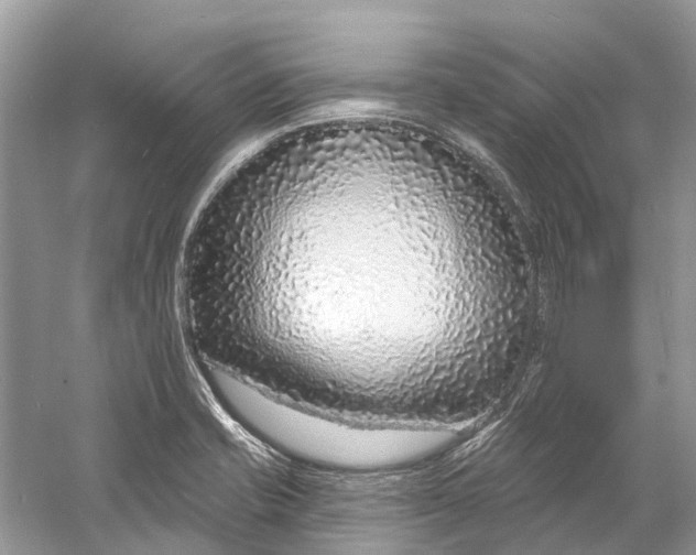 X0000060811421200512011748