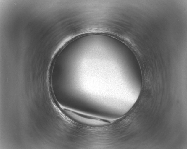 X0000060811422200512011748