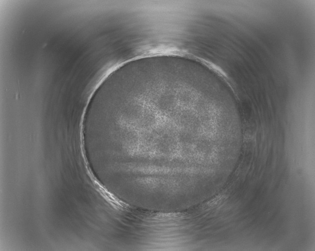 X0000060811423200512011748