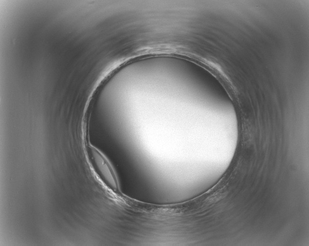 X0000060811424200512011748