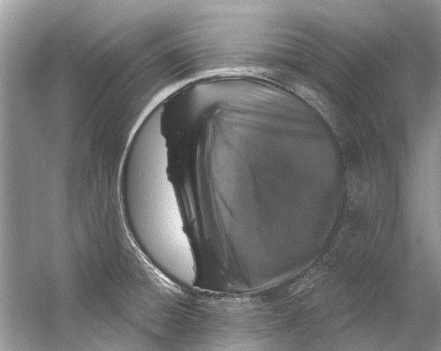 X0000060811428200512011748