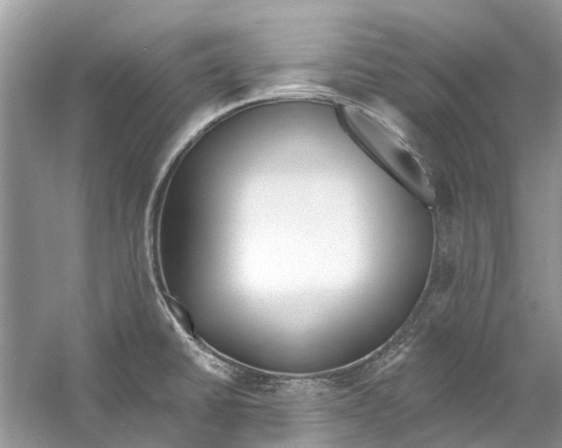 X0000060811430200512011748
