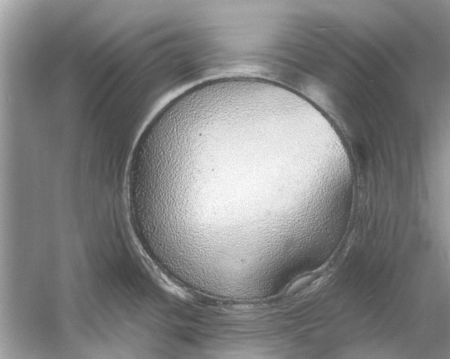 X0000060811436200512011748