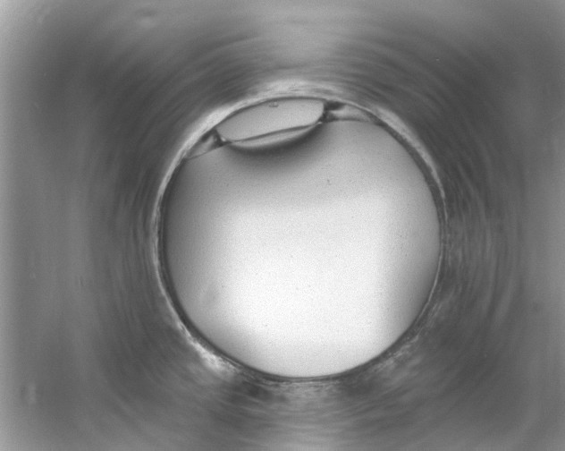 X0000060811437200512011748